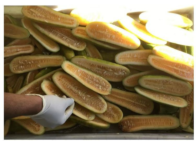 ABT produce cucumbers