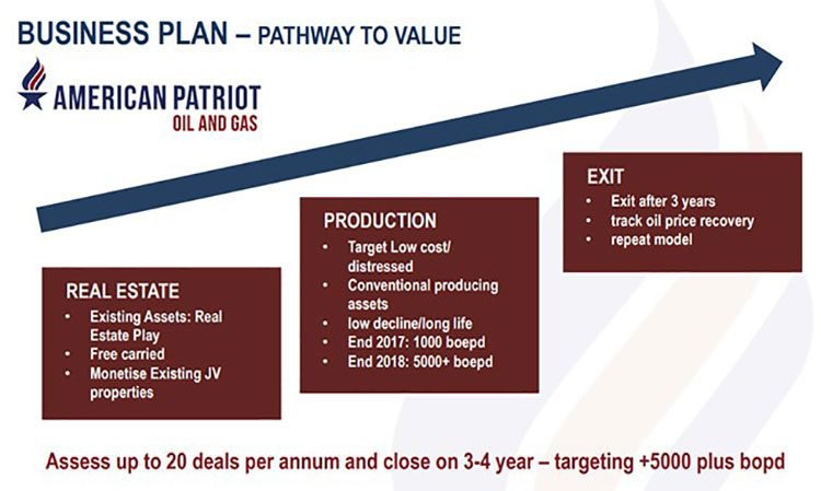 American Patriot business plan
