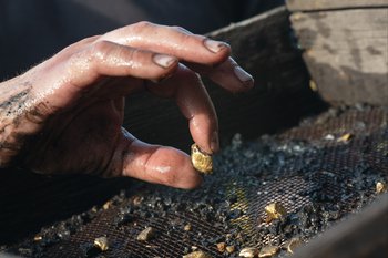 Drilling confirms high grade gold at Navarre's Tandarra Gold Project