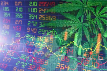 Will 2021 be the year the cannabis industry makes a comeback?