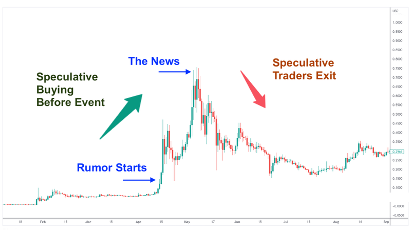 Next Investors Image