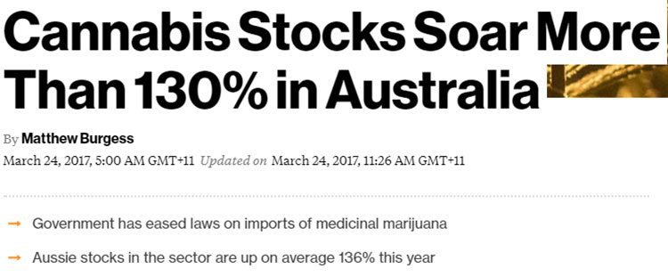cannabis stock surge