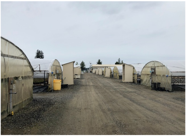 The nursery that will germinate the hemp seeds prior to planting on the trial farm