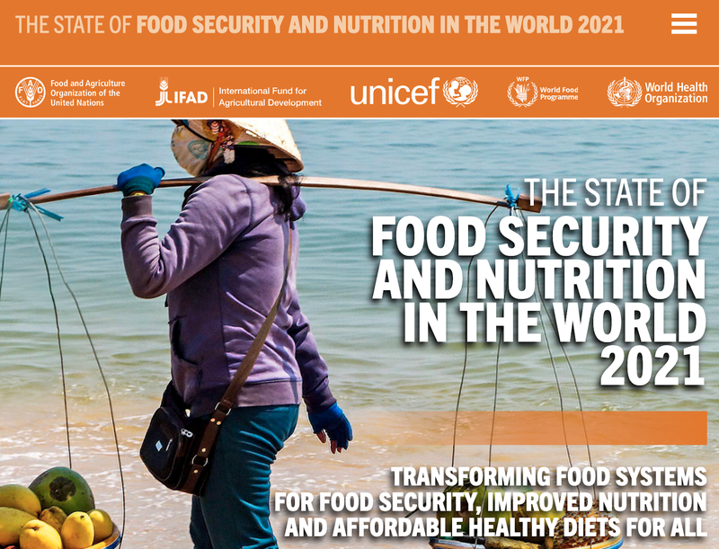 Food Security Report