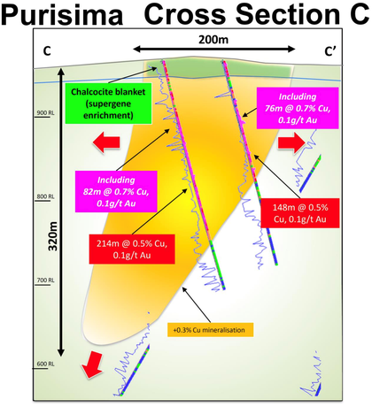 Section C displaying drilling results and an interpretation of one of the host tonalitic porphyry intrusions at Cortadera, within the Purisima Mining Right.