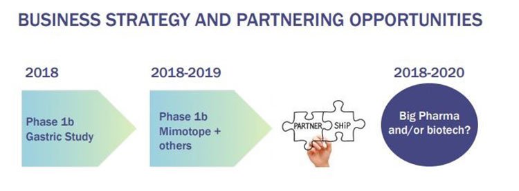 Imugene business strategy