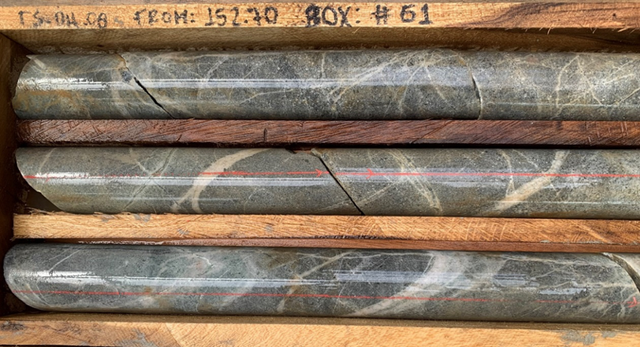 Drill core from TS-DH08