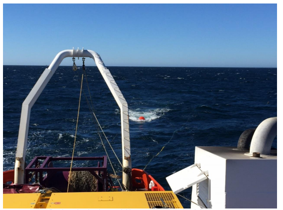 MEC resources baleen prospect exploration