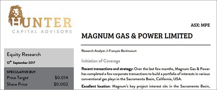 Magnum gas and power valuation