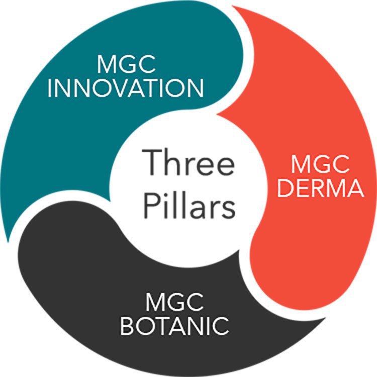 mxc three pillars