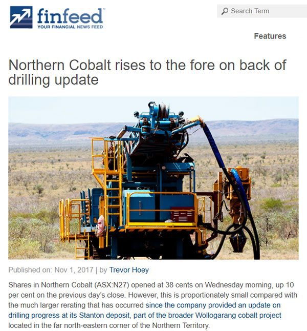 northern cobalt finfeed