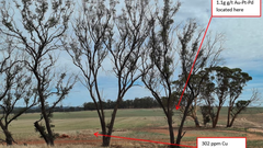PUR Soil Sampling.png