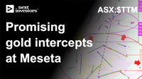 Promising-gold-intercepts-at-Meseta.png
