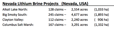 Size and claims for RLC’s lithium brine projects in Nevada.