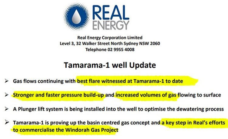 Tamarama update