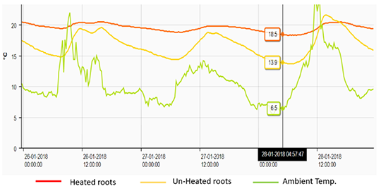 Roots basil pilot test temperatures