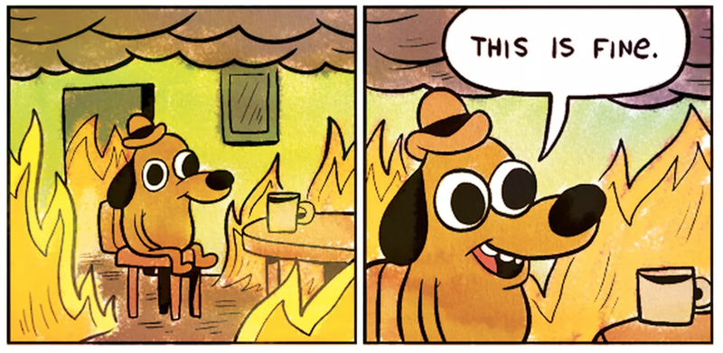 The internet's ever useful 'This is fine' dog meme.
