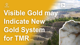 TMR intersects unexpected visible gold - “accidentally” discovers potential new gold vein