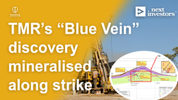TMR’s “Blue Vein” discovery mineralised along strike - Exceeding what we wanted to see.