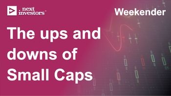 The ups and downs of the small cap market