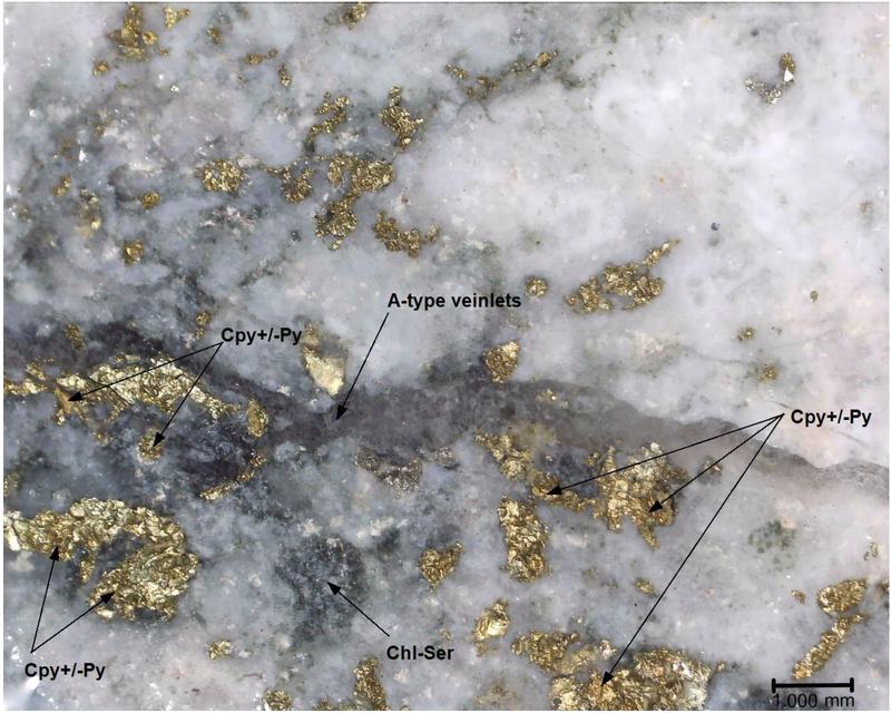 TS-DH28: a zone of elevated sulphides and hairline A-type veinlets at 241.5m (downhole) delivered 9g/t gold over a 1m interval