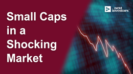 Small caps in a shocking market