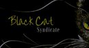 Black Cat Syndicate
