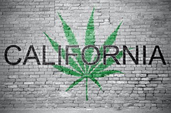 Roots widens cannabis footprint in California