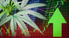 cannabis MMJ stocks.jpeg