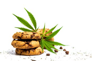Insights into the legal cannabis market