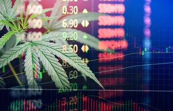 ANALYSIS-How cannabis is firing up investors & the US supply chain