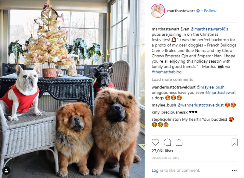 Martha’s French Bulldogs Creme Brulee and Bete Noire, and Chow Chows Empress Qin and Emperor Han (Instagram)