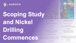 AOU starts Scoping Study as 6 hole Nickel drilling campaign commences