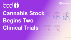 BOD - Cannabis Stock begins two clinical trials