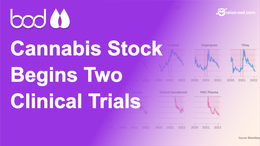 Tiny Medical Cannabis Stock BOD Has Started Two Clinical Trials - We are Hoping for a Re-rate on Results