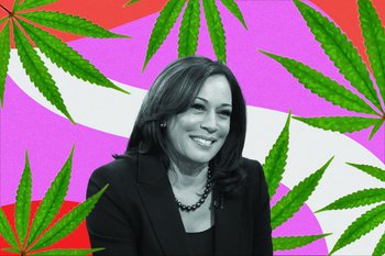 What does a Kamala Harris Vice Presidency mean for cannabis legalisation?