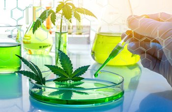 Leafcann granted three medical cannabis licences