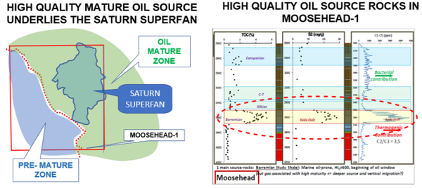 The Moosehead-1 well provides accurate seismic ties.