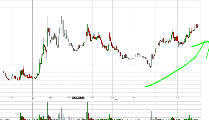 MNB Chart