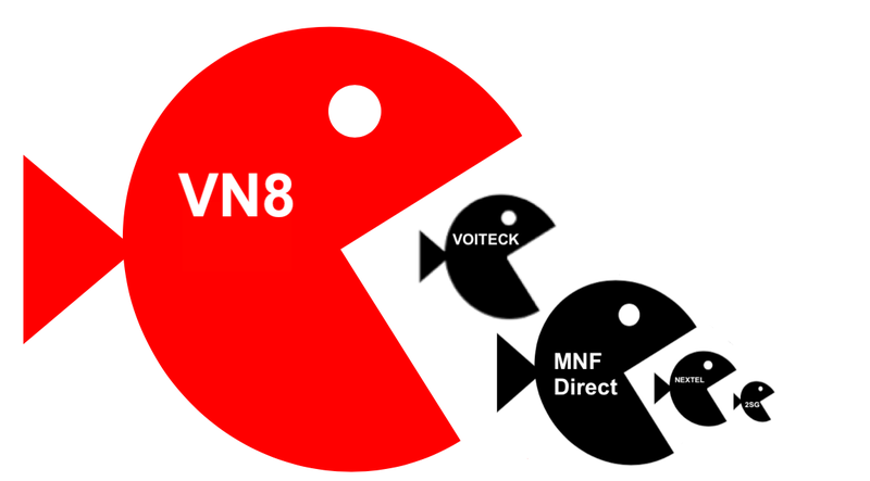 VN8 growth strategy