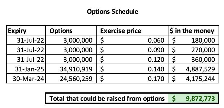 IVZ Options Schedule