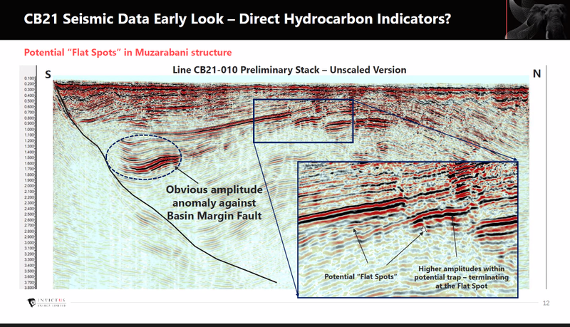 Seismic Data Early Look