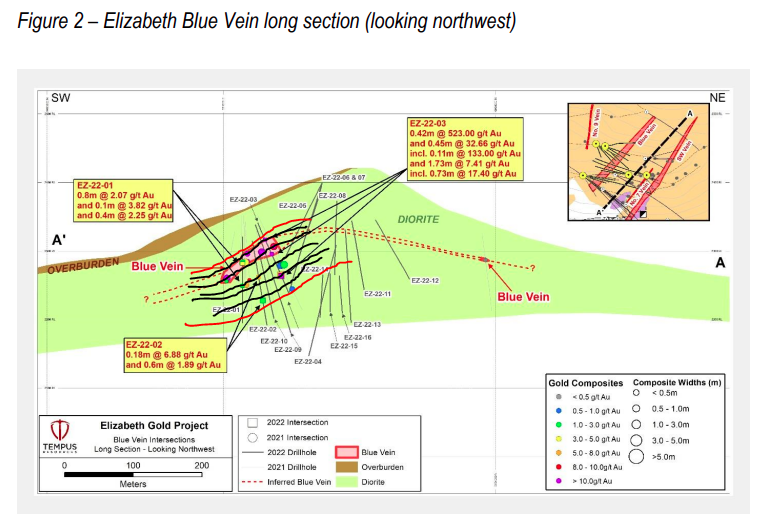 Elizabeth Blue Vein long section