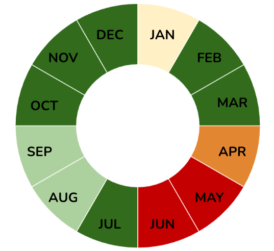 Cycles by month of the market
