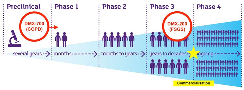 phases-of-clinical-trials.jpg