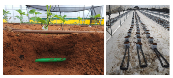 Roots’ RTZO technology in field trials.